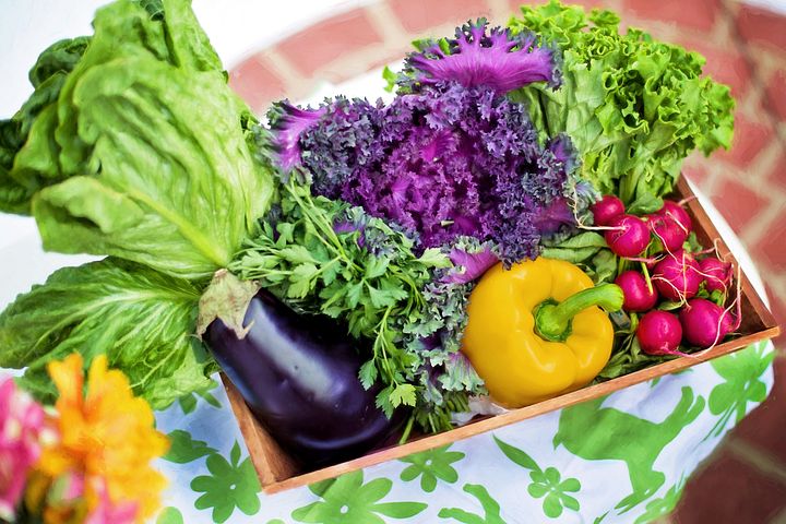 La Dieta Mediterranea: primo posto nel ranking U.S. News & World Report 2023